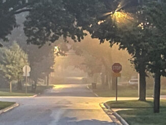 Moderate fog in central Arlington Heights about 7:00 a.m. Friday morning, October 8, 2021