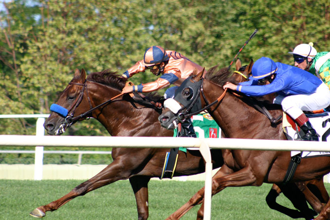 Horse racing August 14, 2004 at the Arlington Million