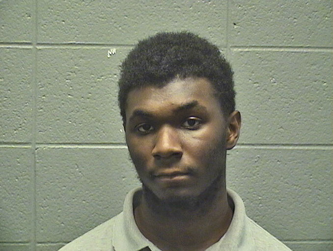 Jeremiah Zajler, burglary and theft suspect (SOURCE: Cook County Sheriff's Office)