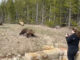Grizzly bear encounter video captured at Yellowstone on May 10, 2021 and posted on Instagram (SOURCE: @darcie_addington)
