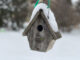 Snow-covered wren house February 3, 2022