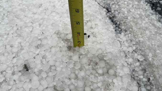 Hail pile almost 3 inches deep near a catch basin on Douglas Avenue just south of Hintz Road.