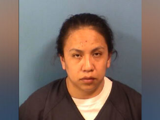 Sara Garcia del Valle, accused of theft in excess of $2 million (SOURCE: DuPage County State's Attorney)