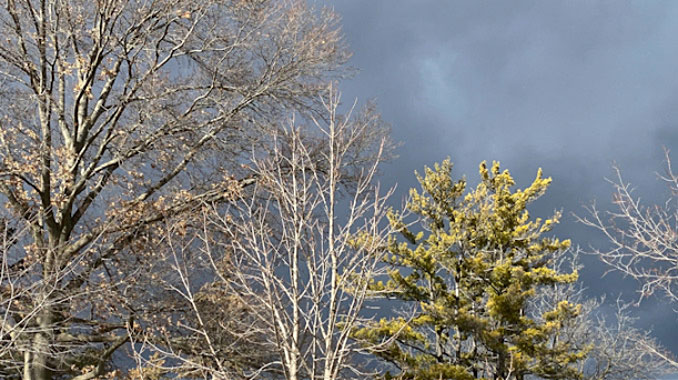 Clouds took on a Spring character on Friday afternoon, February 11, 2022