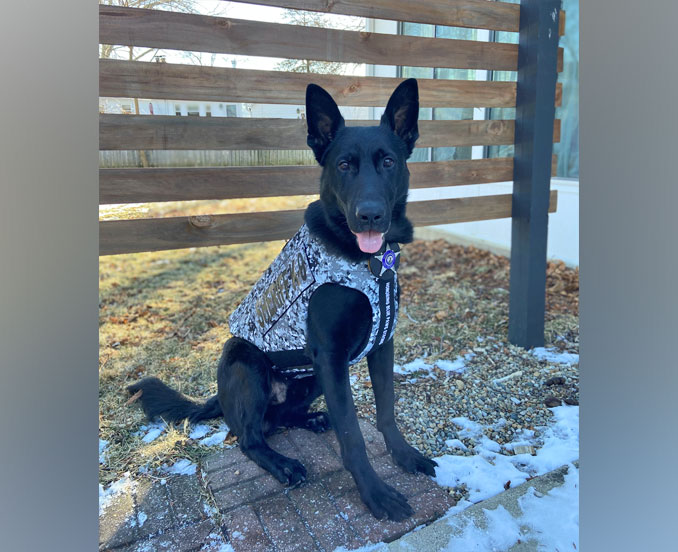 Canine Ryker (SOURCE: Lake County Sheriff's Office)