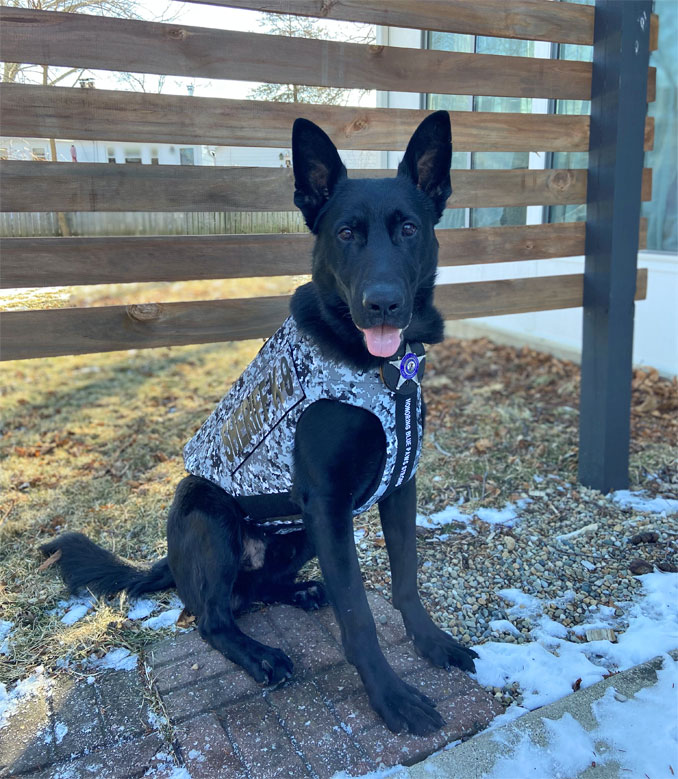 Canine Ryker (SOURCE: Lake County Sheriff's Office)