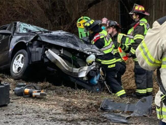 Extrication crash at Route12 and Cuba Road in LakeZurich near Kildeer (SOURCE: Lake Zurich Fire Department)