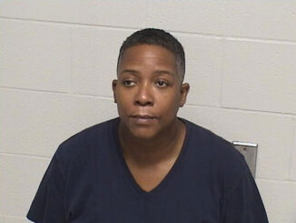 Linda Ray convicted of Aggravated Leaving the Scene of an Accident Involving Death (SOURCE: Lake County State's Attorney's Office)