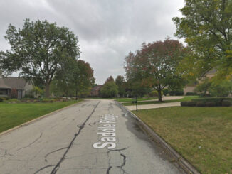 Saddleridge Court in Palatine (Image capture October 2018 ©2022 Google)