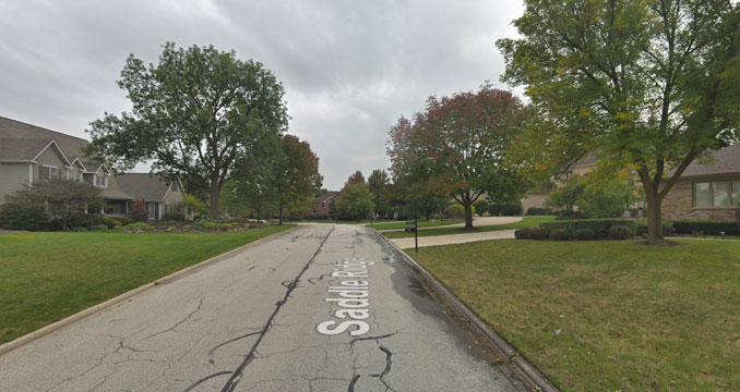 Saddleridge Court in Palatine (Image capture October 2018 ©2022 Google)