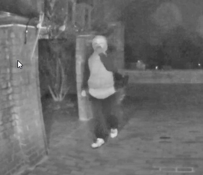 Attempted burglary suspect Barrington Hills (SOURCE: Village of Barrington)