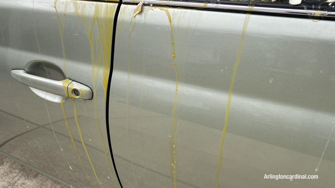 Egg material on car about 13 hours after vandals threw eggs at the vehicle on Belmont Avenue in Arlington Heights
