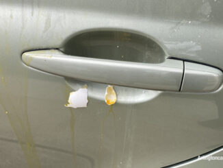 Egg material on car about 13 hours after vandals threw eggs at the vehicle on Belmont Avenue in Arlington Heights