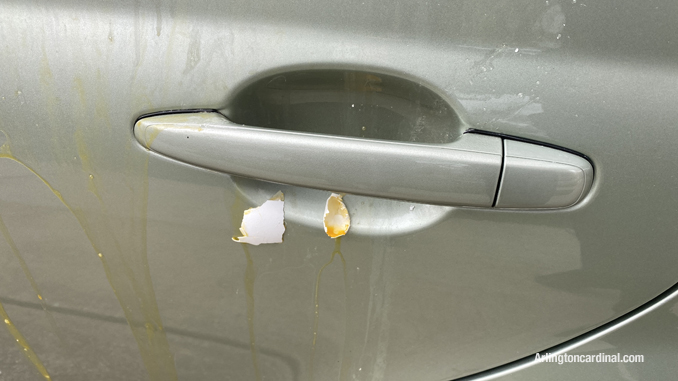 Egg material on car about 13 hours after vandals threw eggs at the vehicle on Belmont Avenue in Arlington Heights