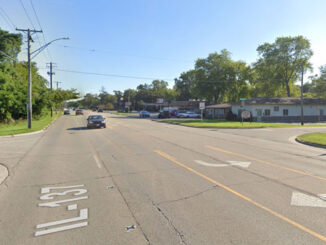 Sheridan Road and Talmadge Avenue Beach Park (Image capture September 2019 ©2022 Google)