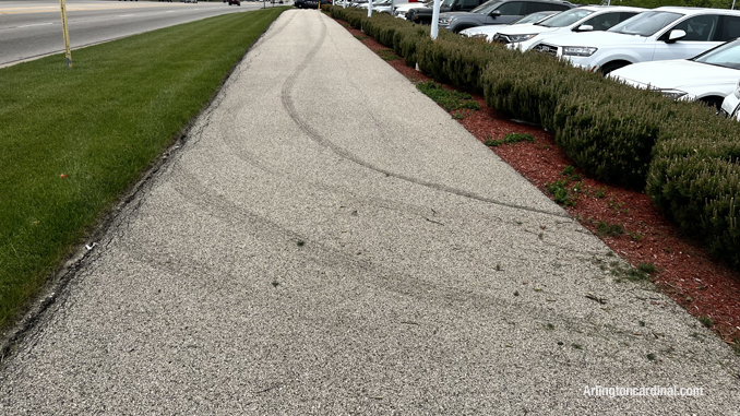 Fresh muddy tire tracks on the sidewalk along the north side of Dundee Road from a stolen vehicle