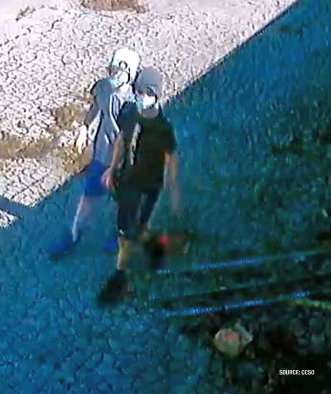 Vandalism suspects at Homewood Acres Fire Department fire station (SOURCE: Cook County Sheriff's Office)