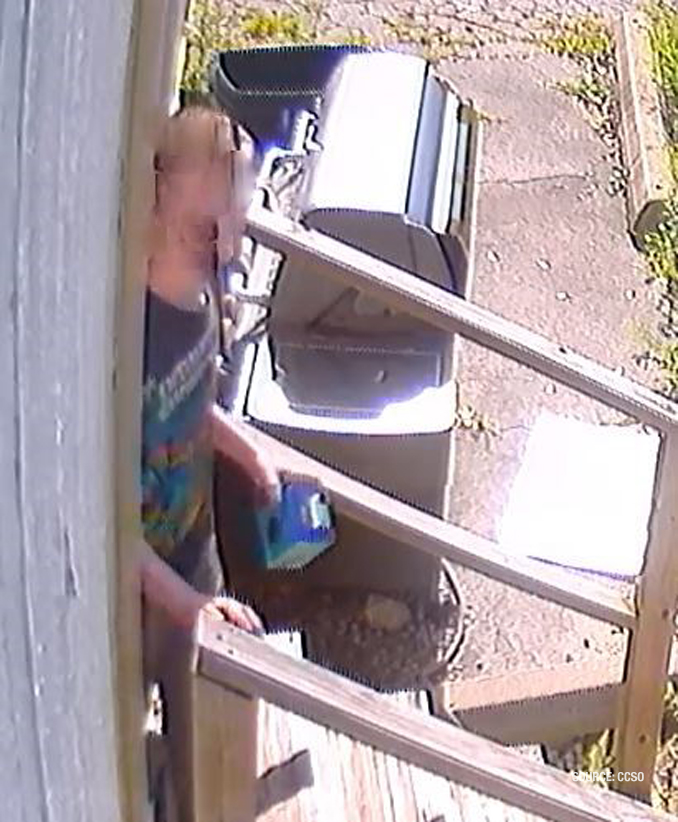 Vandalism suspects at Homewood Acres Fire Department fire station (SOURCE: Cook County Sheriff's Office)