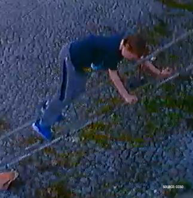Vandalism suspects at Homewood Acres Fire Department fire station (SOURCE: Cook County Sheriff's Office)