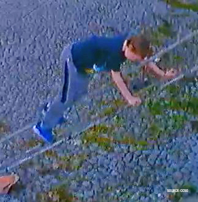 Vandalism suspect at Homewood Acres Fire Department fire station (SOURCE: Cook County Sheriff's Office).