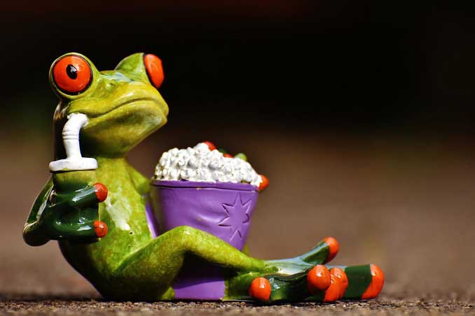 Drinking frog with popcorn