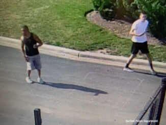 Bartlett vehicular hijacking suspects in Bartlett at or near the area of Miles Parkway (SOURCE: Bartlett Police Department)