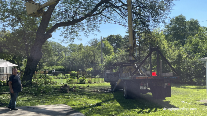 Tree trimming bucket truck destroyed after a fire involving the cab.