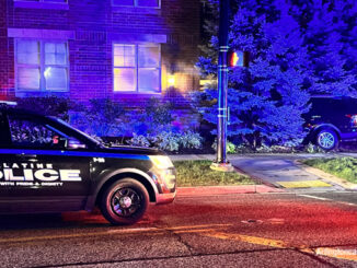 An SUV stuck in some pine trees might have hit the corner of the building at Palatine Road and Smith Street in Palatine