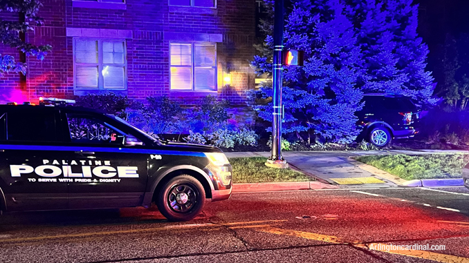 An SUV stuck in some pine trees might have hit the corner of the building at Palatine Road and Smith Street in Palatine