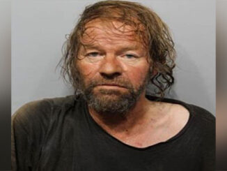 James Krook, charged with Kidnapping and Child Luring (SOURCE: Arlington Heights Police Department)