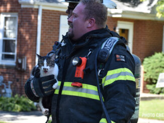 Firefighters rescue a cat from a house fire on Western Avenue in Highland Parkk (PHOTO CREDIT: Max Weingardt)