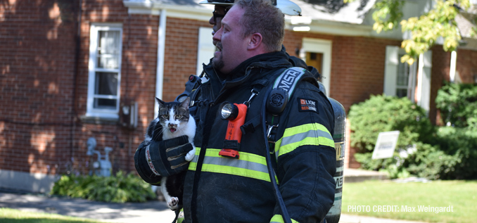Firefighters rescue a cat from a house fire on Western Avenue in Highland Park (PHOTO CREDIT: Max Weingardt)