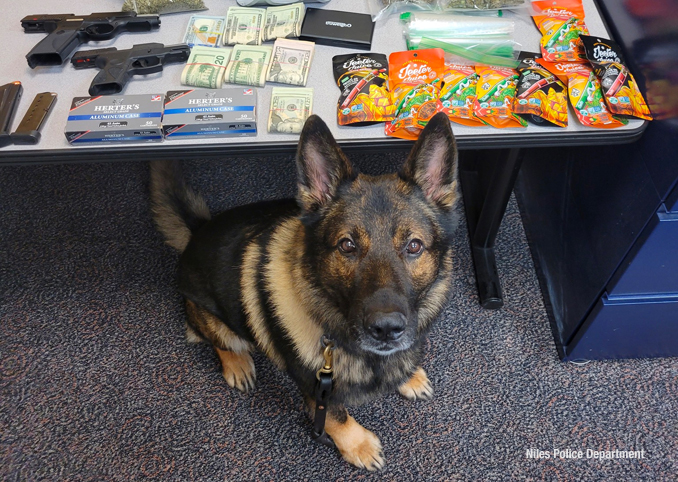 Niles police K-9 with evidence from arrest on Golf Road near Western Avenue in Niles (SOURCE: Niles Police Department)