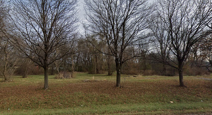 Wooded area where body was found just southeast of the Route 53 - Palatine Road interchange (Image capture November 2018 ©2022 Google).