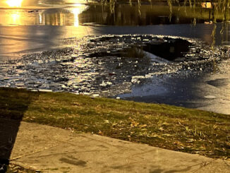 A hole in the ice were four young boys fell through into water at an apartment pond on Panorama Drive in Palatine