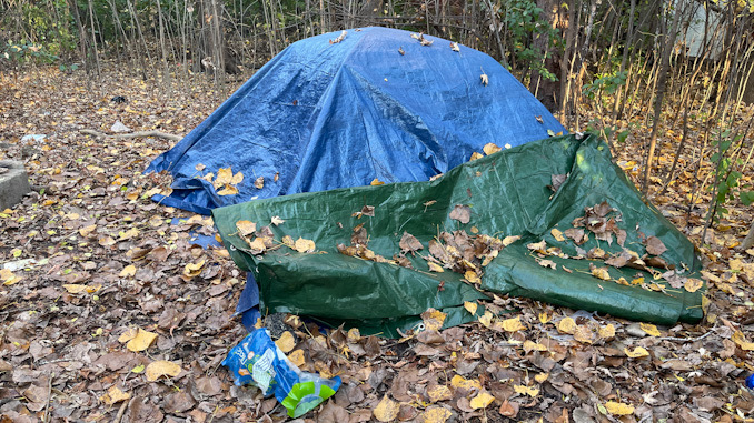 A blue tarp serving as a tent in a secluded area of vacant property southeast of Route 53 and Palatine Road in Arlington Heights