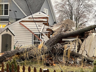 A large falling tree in a backyard destroyed a detached garage on Mueller Street near Walnut Avenue in Arlington Heights during an ice storm Wednesday, February 22, 2023