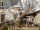 A large falling tree in a backyard destroyed a detached garage on Mueller Street near Walnut Avenue in Arlington Heights during an ice storm Wednesday, February 22, 2023