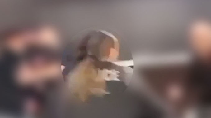Blurred image of a hallway fight inside Rolling Meadows High School captured from cell phone video. Blurred image of a hallway fight inside Rolling Meadows High School captured from cell phone video.