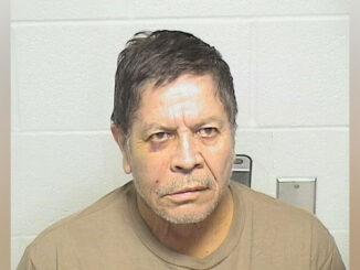 Domingo J. Rogel, accused of intentionally driving a Nissan Murano into a tree in Beach Park while traveling with a passenger on Wednesday, March 1, 2023 (SOURCE: Lake County Sheriff's Office)