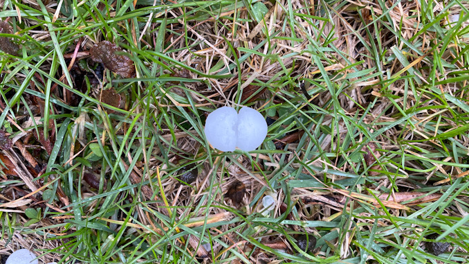 A double hail piece about three-quarter inch wide in Arlington Heights, Illinois