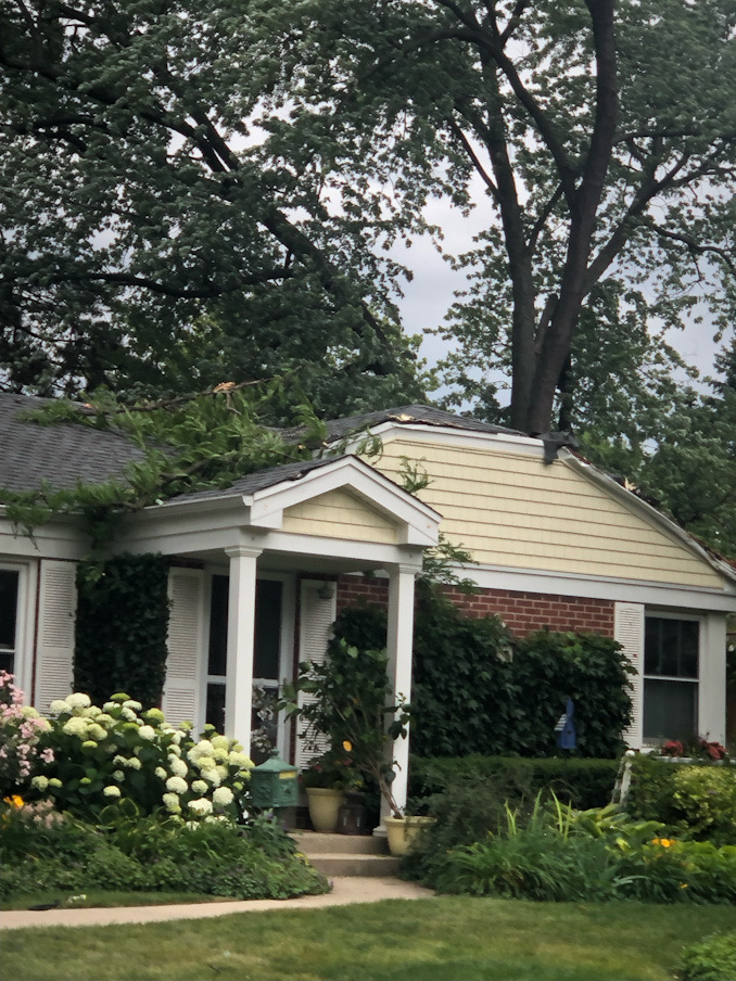 Large tree down in front of a house on Brighton Place in Arlington Heights during high wind gusts on Sunday afternoon, June 25, 2023