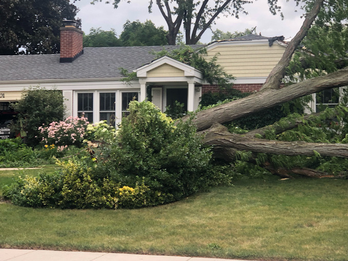 Large tree down in front of a house on Brighton Place in Arlington Heights during high wind gusts on Sunday afternoon, June 25, 2023.
