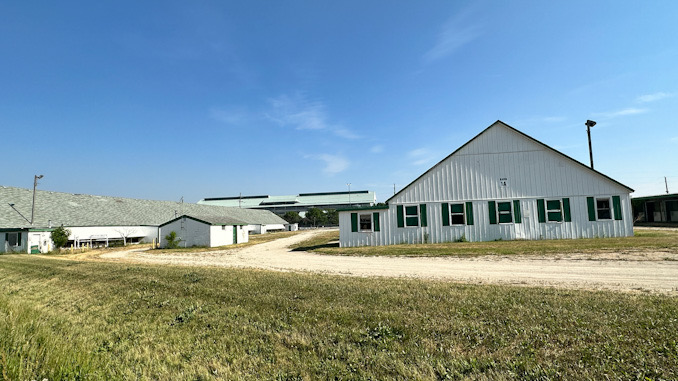 A vacant stable building with the grandstand in the background