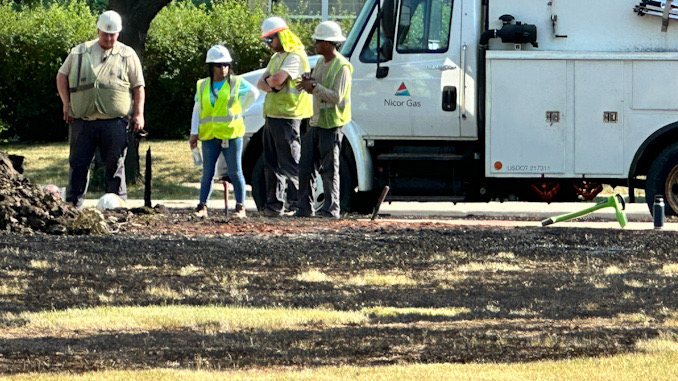 Burnt grass from a fire that occurred around 6:00 a.m. Saturday morning June 24, 2023 on the north side of Golf Road west of Meier Road in Mount Prospect