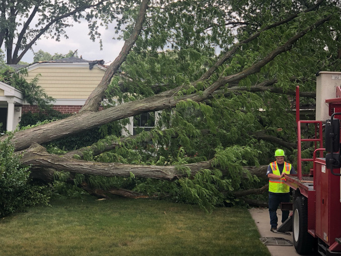 Large tree down in front of a house on Brighton Place in Arlington Heights during high wind gusts on Sunday afternoon, June 25, 2023.