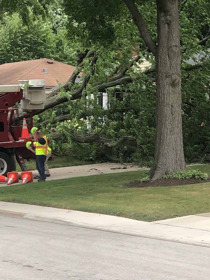 Large tree down in front of a house on Brighton Place in Arlington Heights during high wind gusts on Sunday afternoon, June 25, 2023