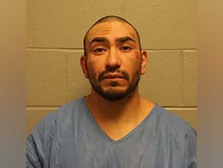 Deni Rubio, chared with aggravated DUI resulting in death, reckless homicide and other charges (SOURCE: Hoffman Estates Police Department/Cook County Circuit Court)