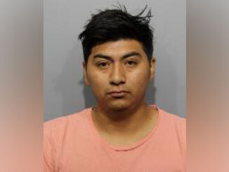 Guadalupe Mezo-Temich, charged with Aggravated Battery (SOURCE: Arlington Heights Police Department)