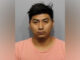 Guadalupe Mezo-Temich, charged with Aggravated Battery (SOURCE: Arlington Heights Police Department)